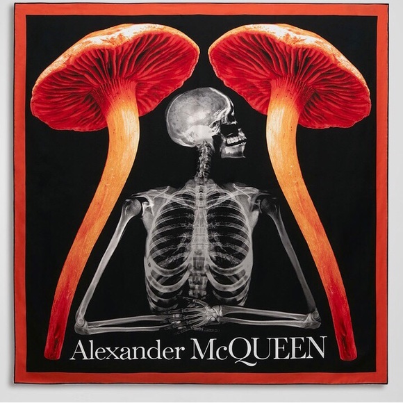 Alexander McQueen Accessories - Alexander McQueen scarf
